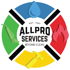 All Pro Services